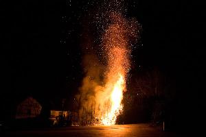 Bild: Eine meterhohe Zypressenhecke brannte in der Silvesternacht